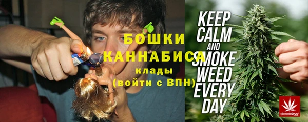 ГАЛЛЮЦИНОГЕННЫЕ ГРИБЫ Алексеевка