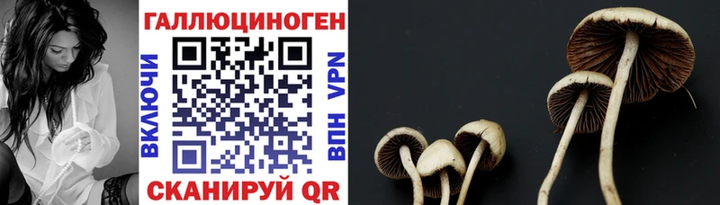 Галлюциногенные грибы ЛСД  где продают   Кумертау 