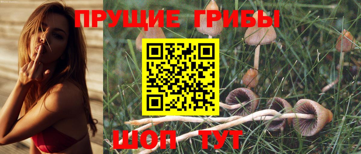 Кумертау  Псилоцибиновые грибы MAGIC MUSHROOMS  Вход с VPN 