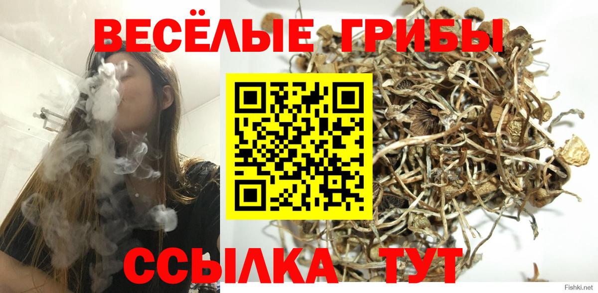 Галлюциногенные грибы GOLDEN TEACHER Кумертау